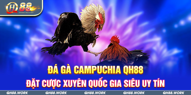 Đá Gà Campuchia QH88 - Đặt Cược Xuyên Quốc Gia Siêu Uy Tín