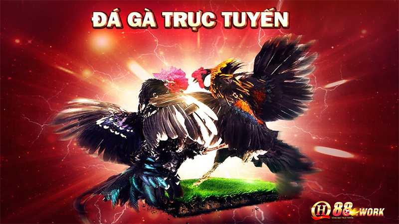 Ưu điểm nổi trội đá gà