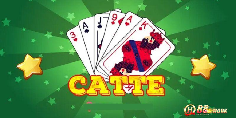 Thông tin chung về bài Catte QH88