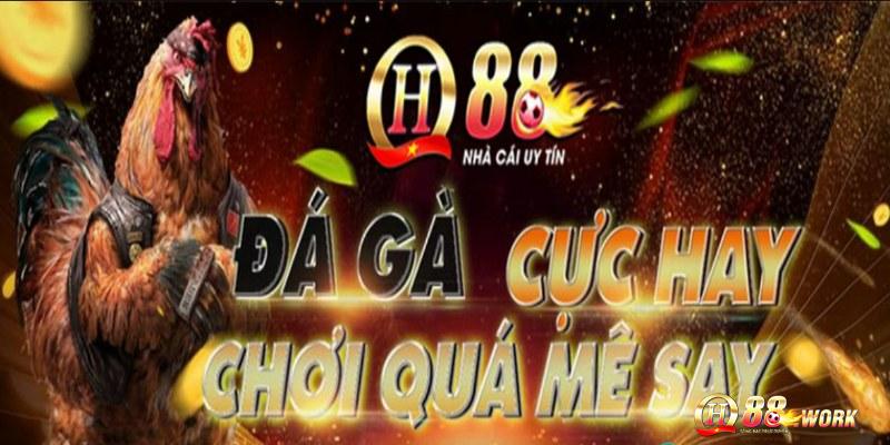 Đá gà Campuchia QH88 là chuyên mục được yêu thích nhất
