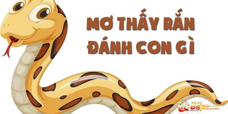 Mơ thấy rắn đánh con số gì?
