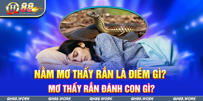 Nằm Mơ Thấy Rắn Là Điềm Gì? Mơ Thấy Rắn Đánh Con Gì?