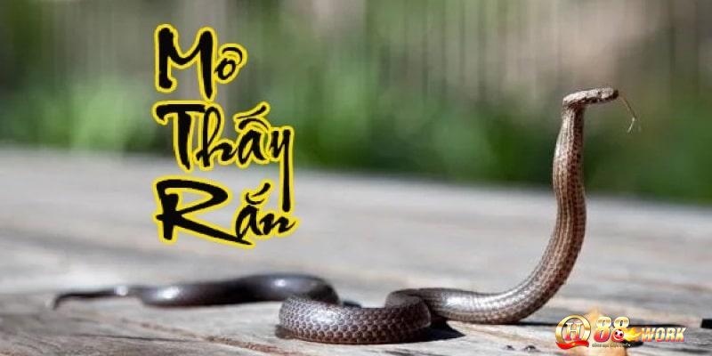 Ý nghĩa phong thủy khi nằm mơ thấy rắn