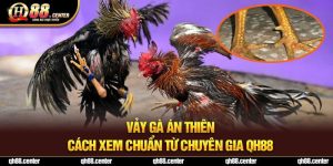 Vảy Gà Án Thiên - Cách Xem Chuẩn Từ Chuyên Gia QH88